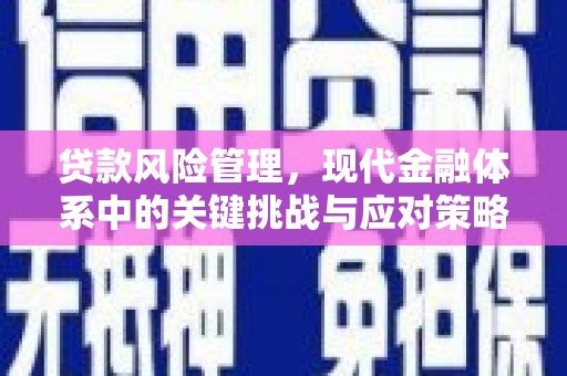 玉门贷款风险管理，现代金融体系中的关键挑战与应对策略