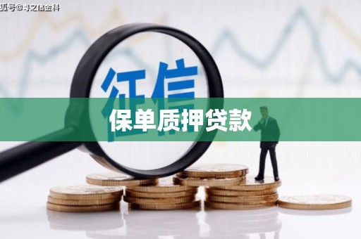 槐荫保单质押贷款