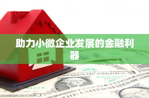 镇原助力小微企业发展的金融利器