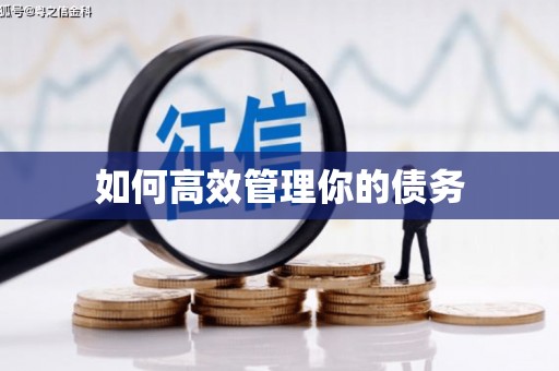 宁明如何高效管理你的债务