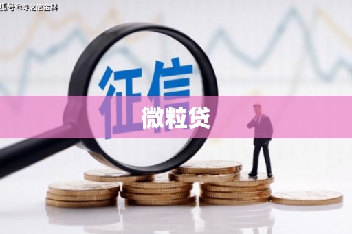 昭苏微粒贷