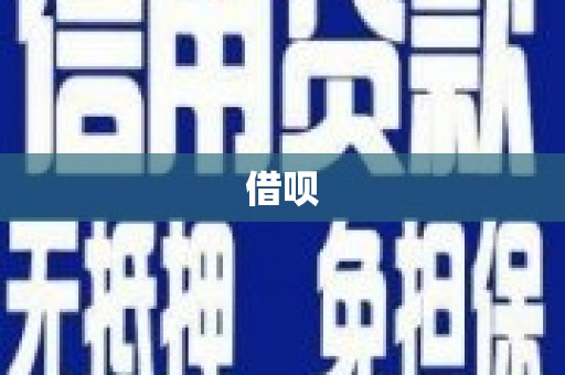望奎借呗