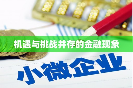 中卫机遇与挑战并存的金融现象