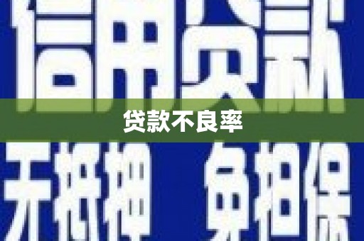 新泰贷款不良率