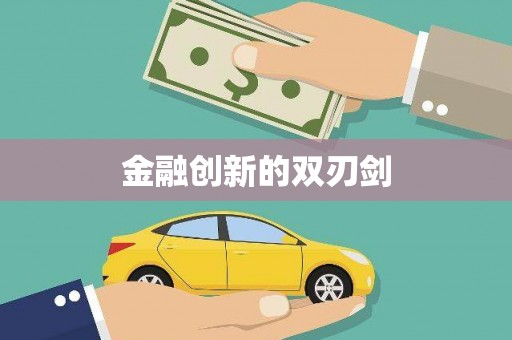 圣方济各堂区金融创新的双刃剑